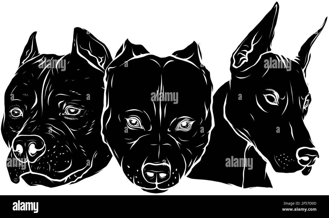 black silhouette of Heads of dogs pitbull dobermann bulldog vector Stock Vector