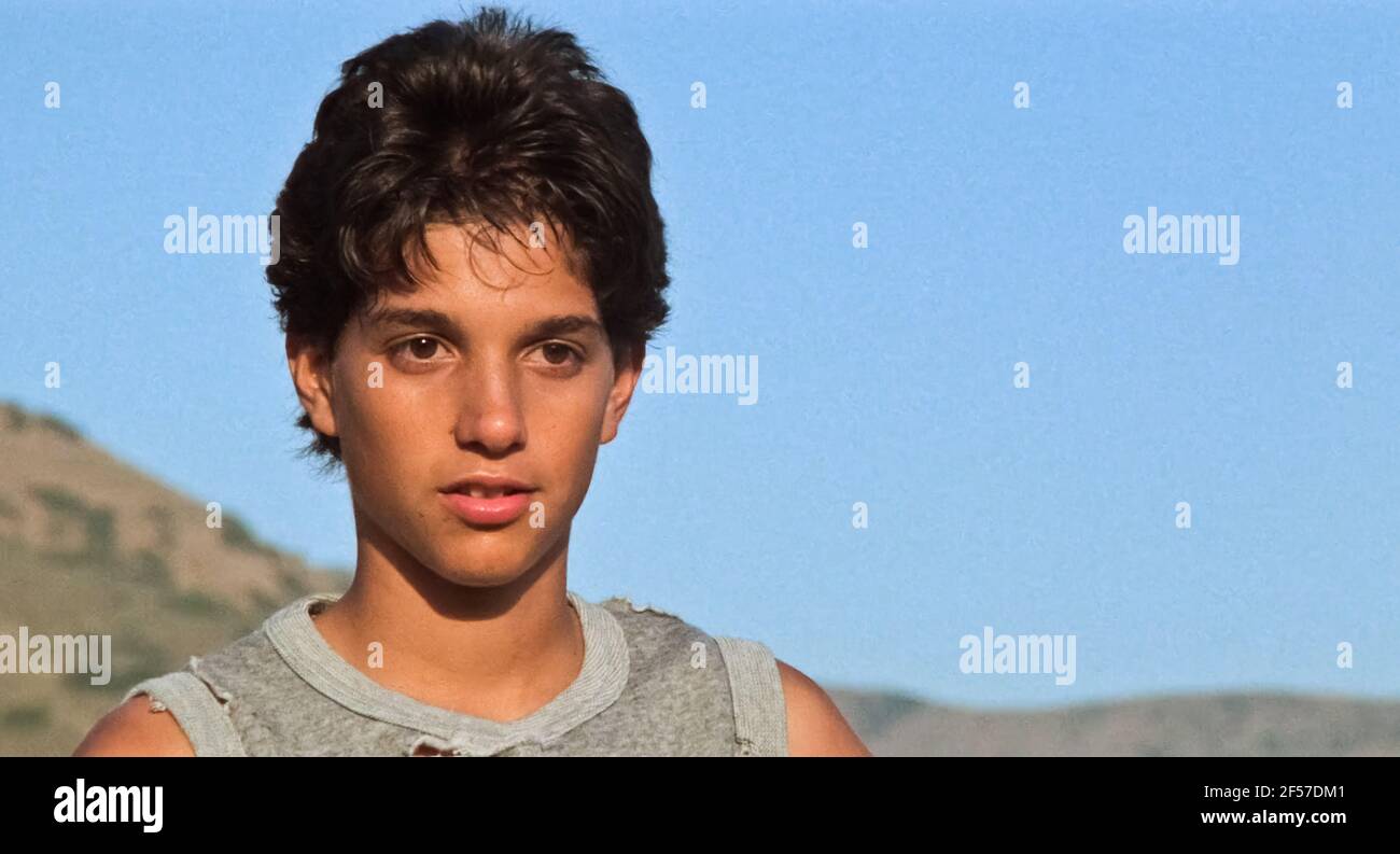 USA. Ralph Macchio in a scene the (C)Columbia Pictures film The Karate Kid (1984). Plot A