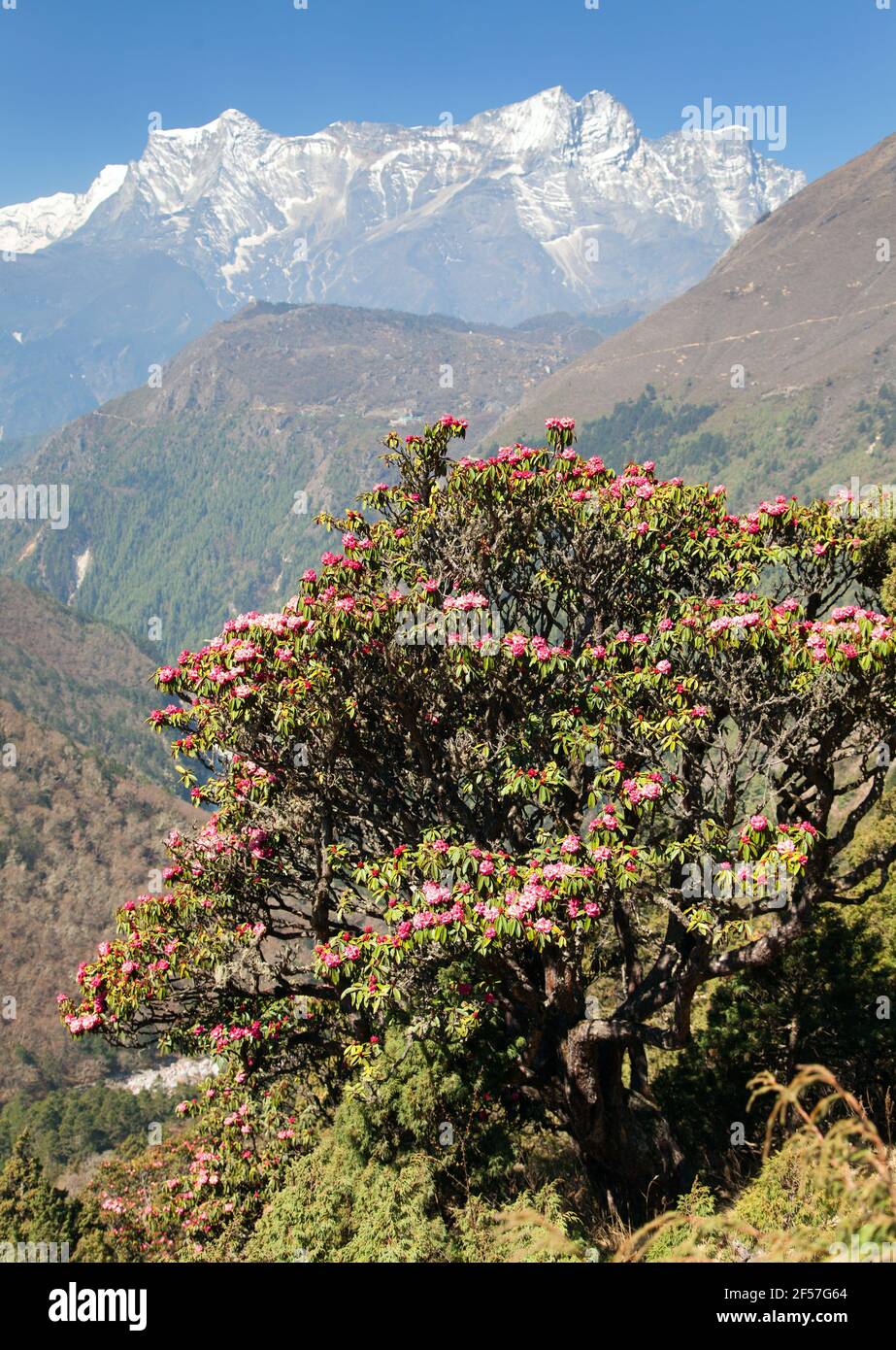 Panorama khumbu valley everest hi res stock photography and images Alamy Panorama khumbu valley everest hi res stock photography and images Alamy