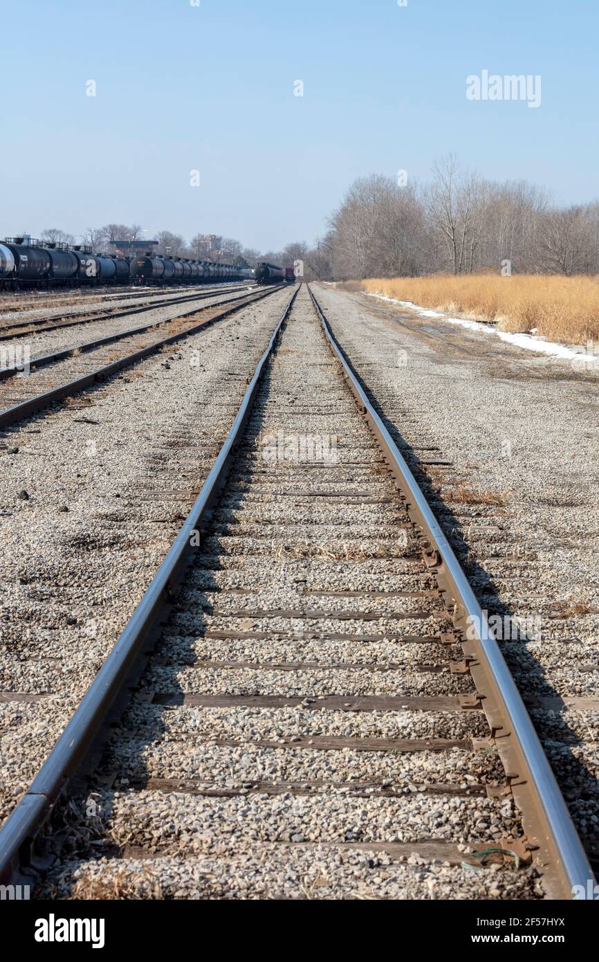 Train cars and railroad tracks, midwestern USA, by James D Coppinger/Dembinsky Photo Assoc Stock Photo
