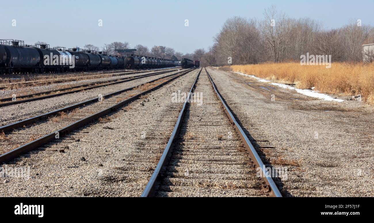 Train cars and railroad tracks, midwestern USA, by James D Coppinger/Dembinsky Photo Assoc Stock Photo