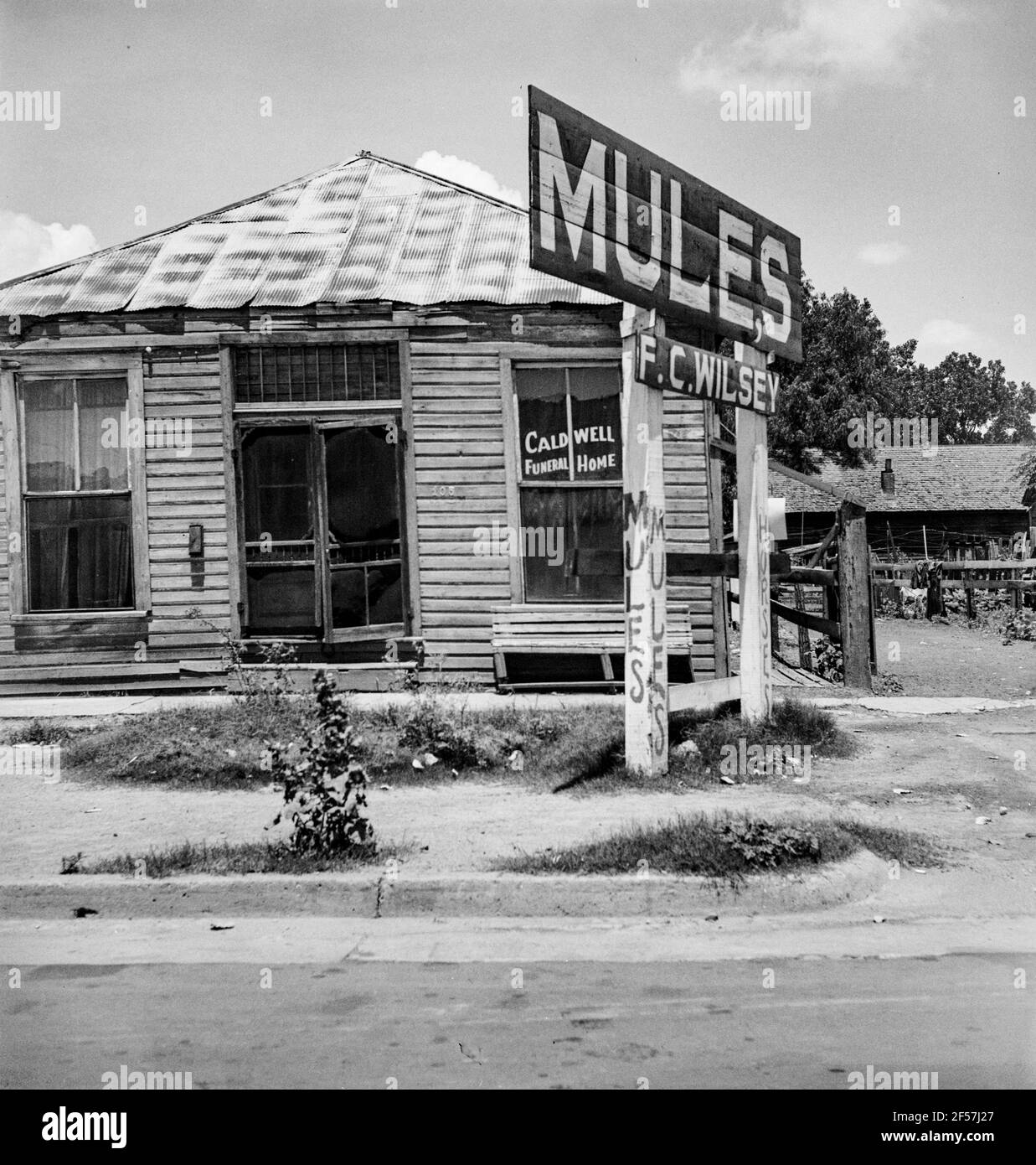 Mules for sale and funeral services for Negroes in a Mississippi Delta