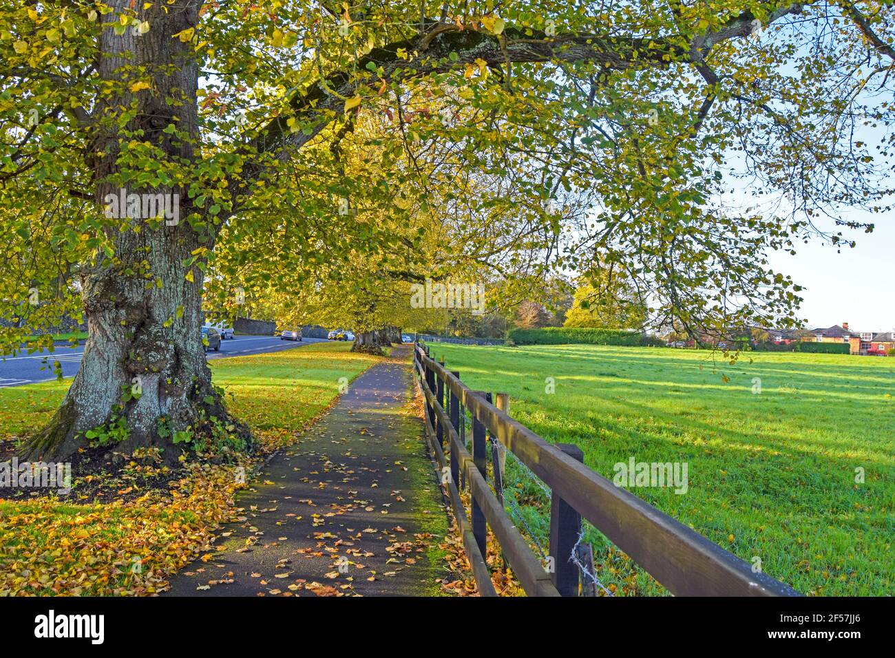 Green park in Adare, County Limerick, Ireland Stock Photo