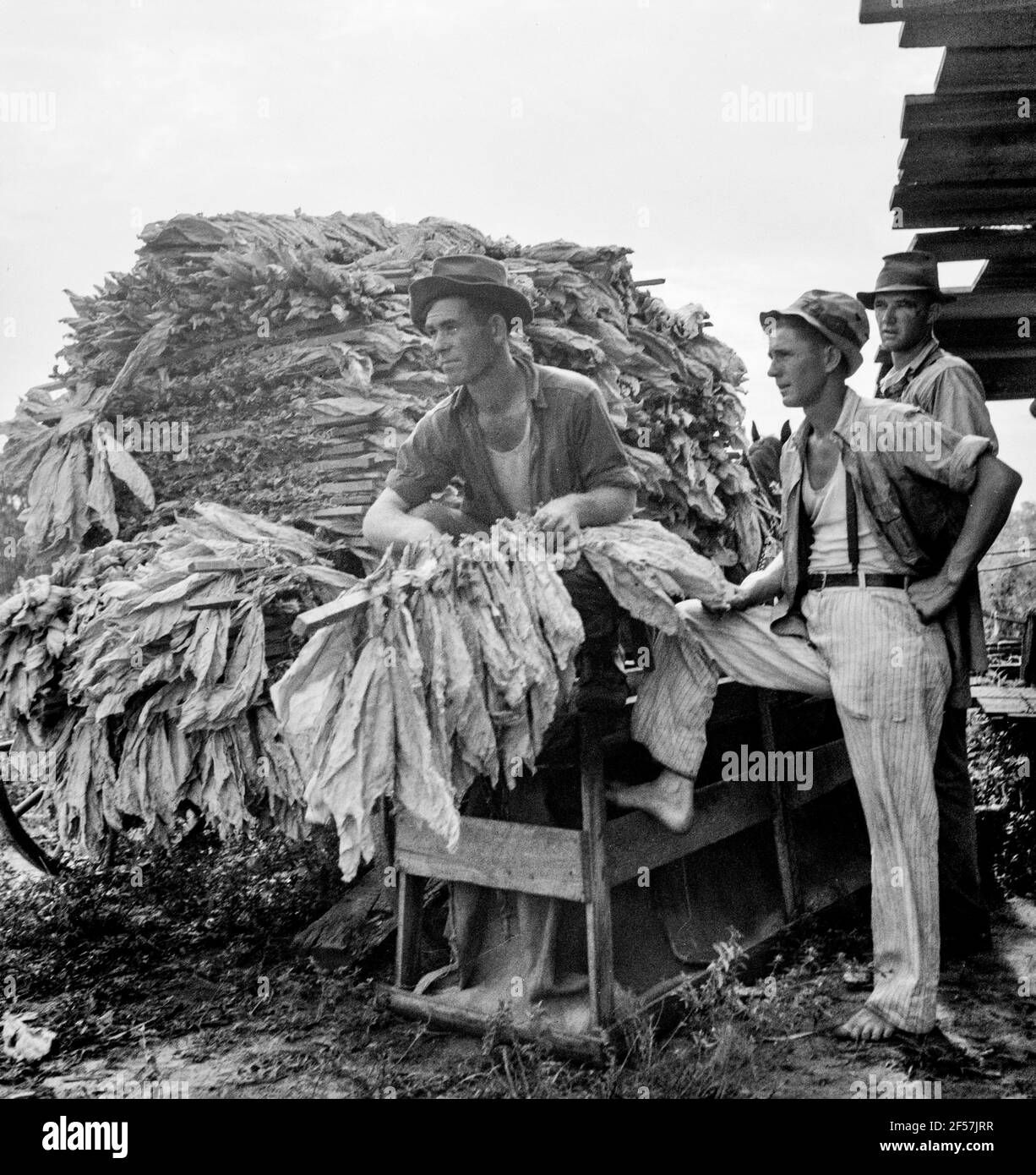 Loading pack came Black and White Stock Photos & Images Alamy