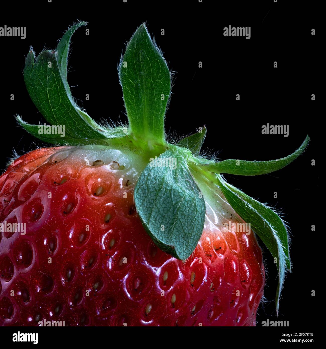 Isolated artistic strawberry hi-res stock photography and images - Alamy