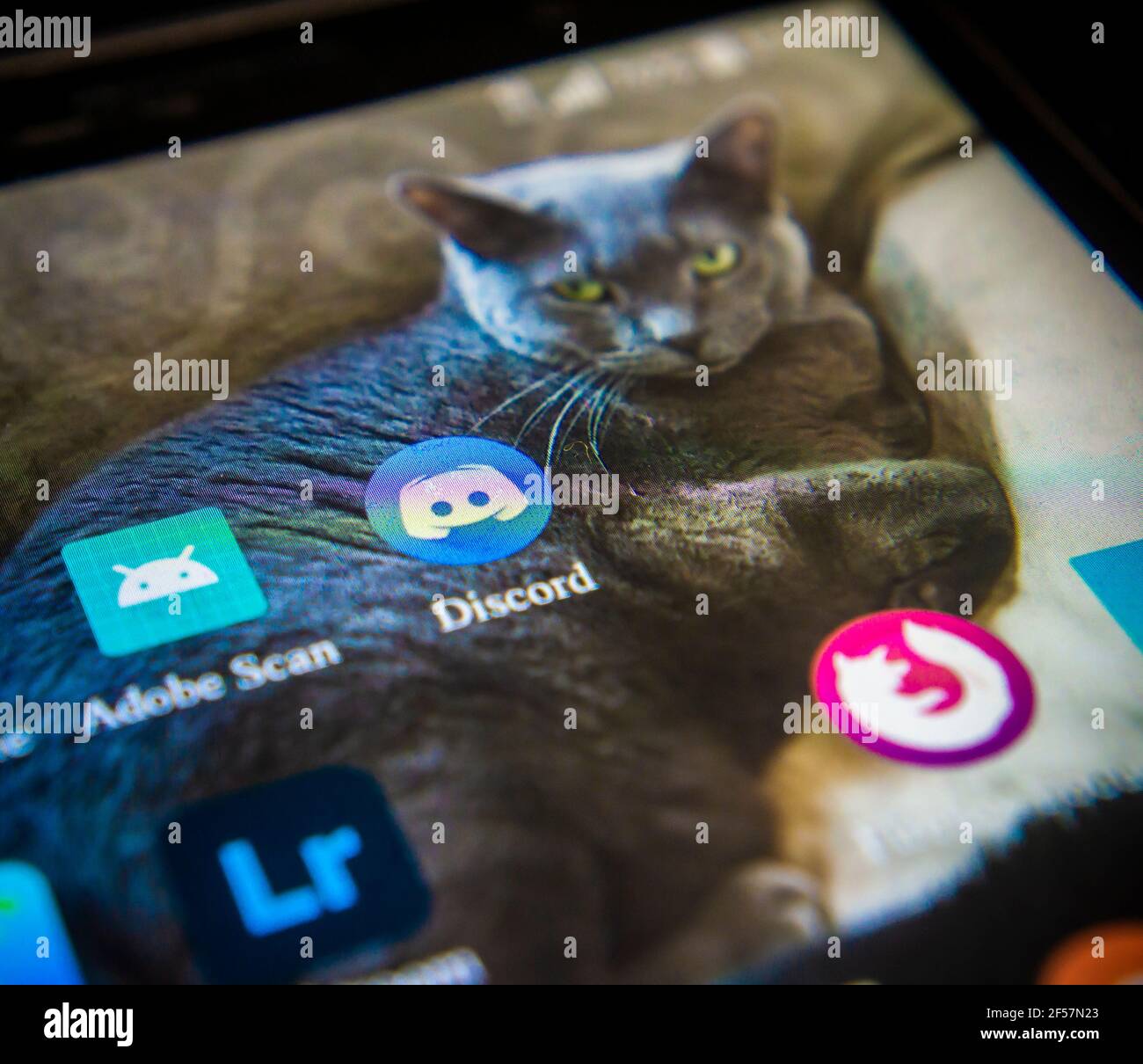 The icon for the chat platform Discord is seen on an Android phone in New York on Tuesday, March 23, 2021. Microsoft is reported to be in talks with Discord to acquire the company valuing it at approximately $10 billion. (© Richard B. Levine) Stock Photo