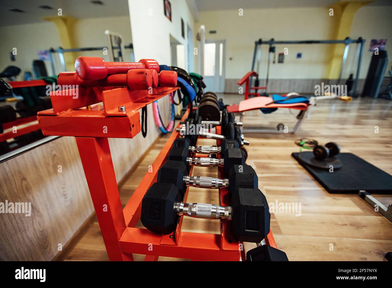 Lifestyle sports gym equipment sale
