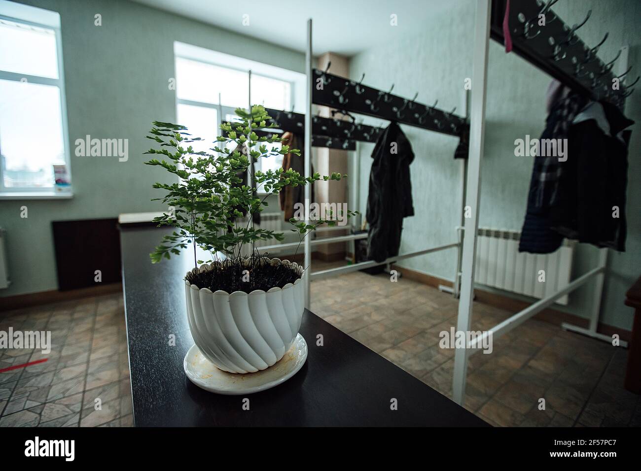 wardrobe at the hotel reception. jackets and dresses hang on hooks on a