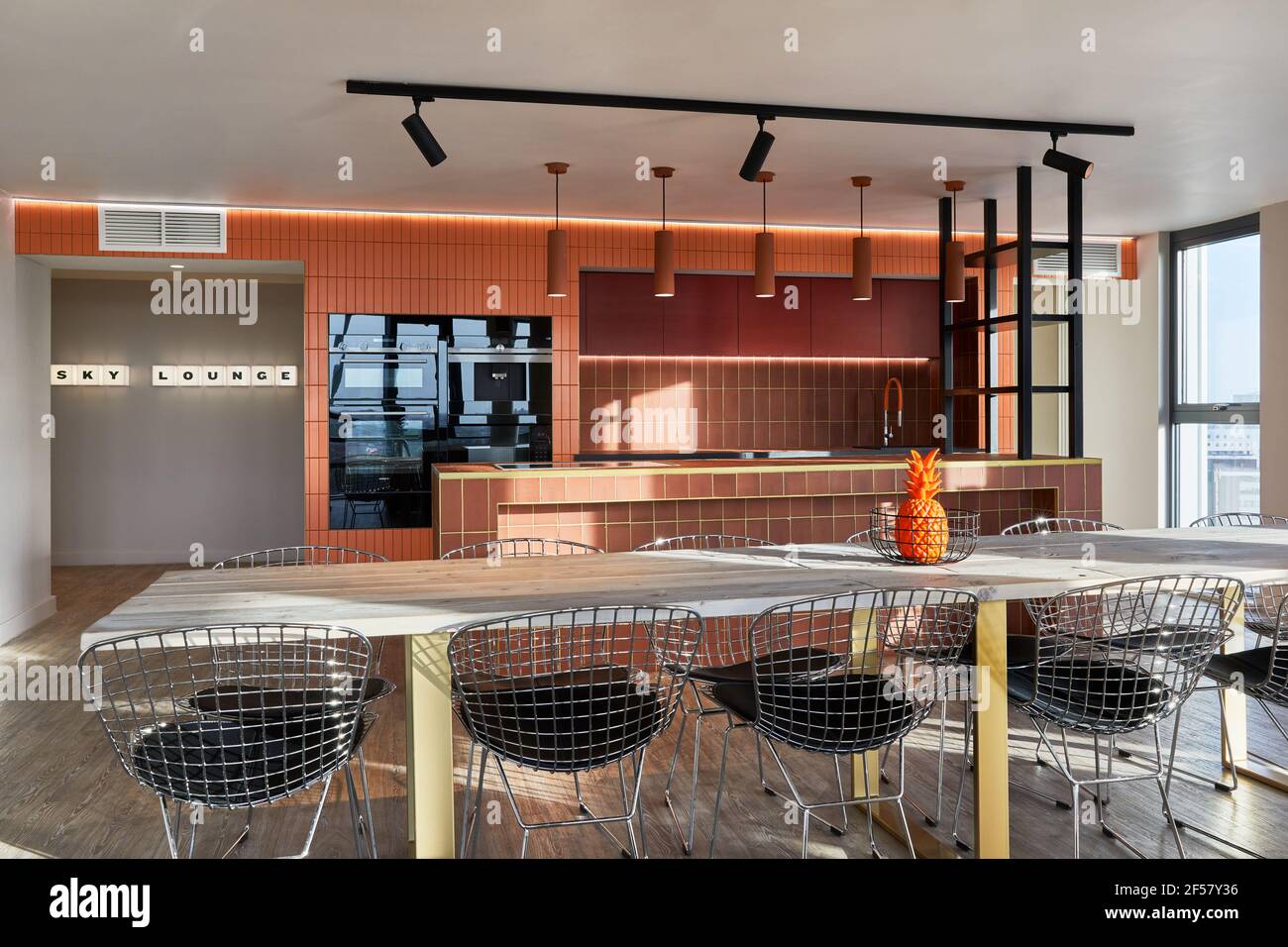 Kitchen interior. Calico Student Accommodation, Liverpool, United Kingdom. Architect: Naomi Cleaver , 2020. Stock Photo