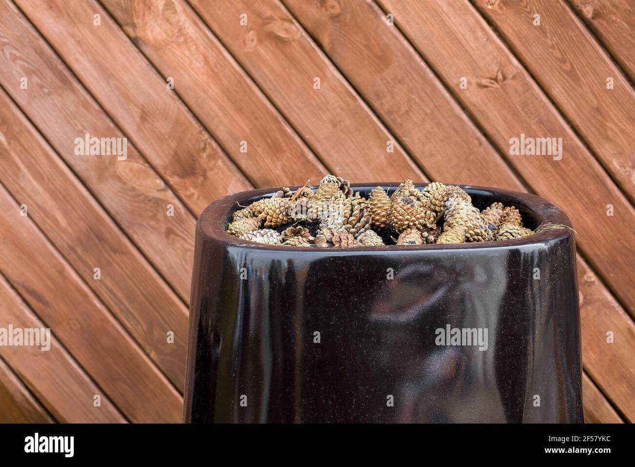 clay black flowerpot with pine cone mulch backyard decor against a wooden wall made of brown boards close-up. Stock Photo