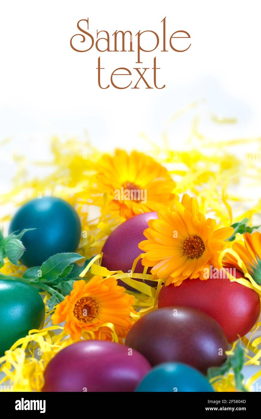 Free-range eggs colorfully eggs painted for Easter Stock Photo