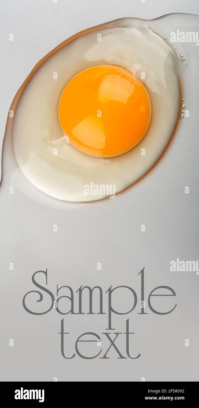 Organic egg yolk closeup Stock Photo - Alamy