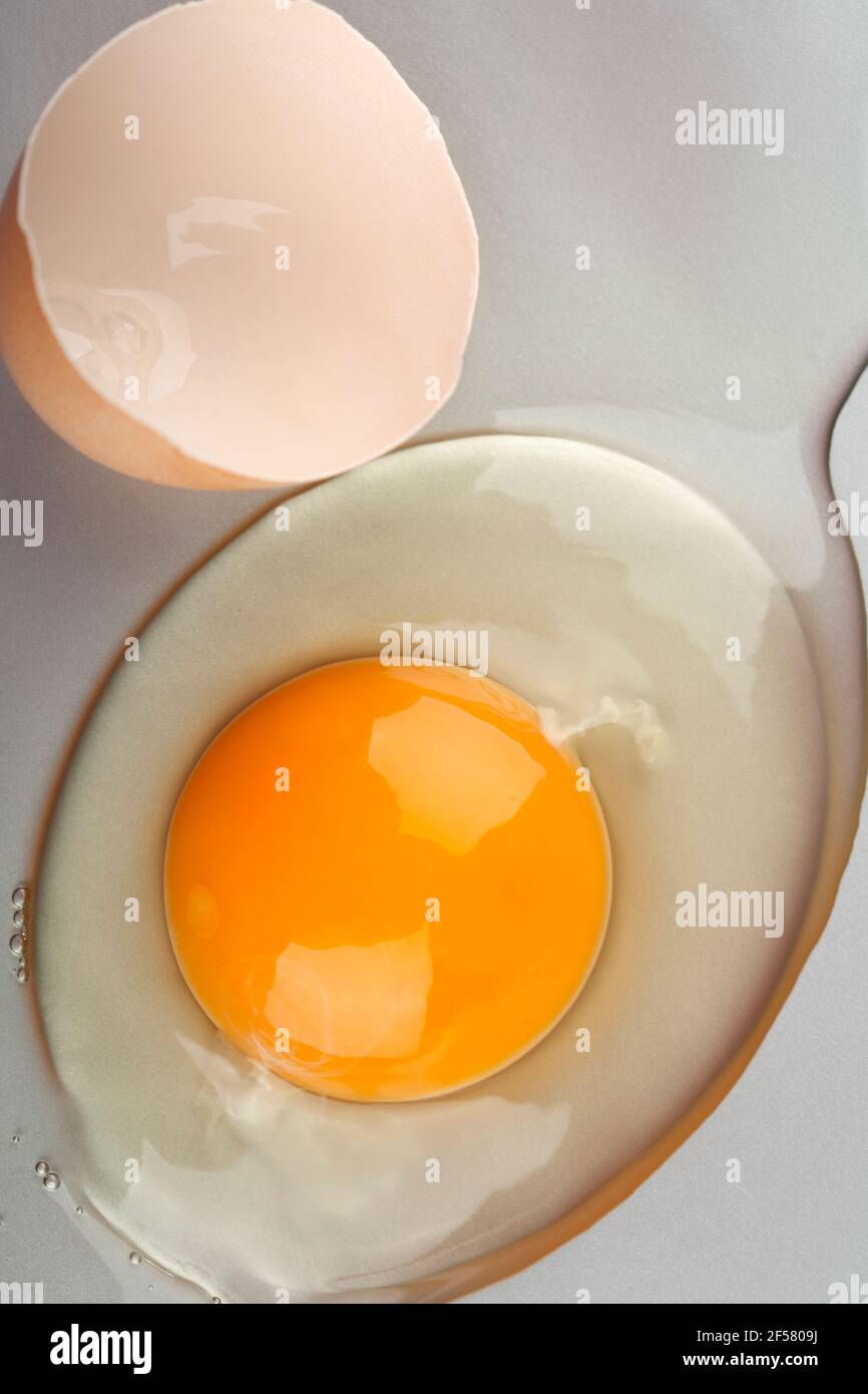 Free range organic egg yolk closeup Stock Photo