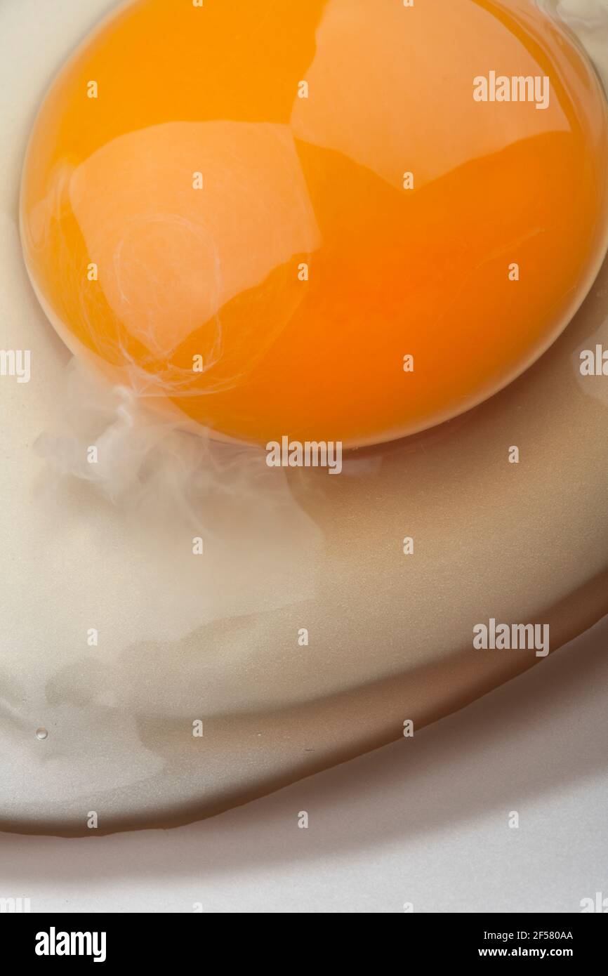 Organic egg yolk closeup Stock Photo - Alamy