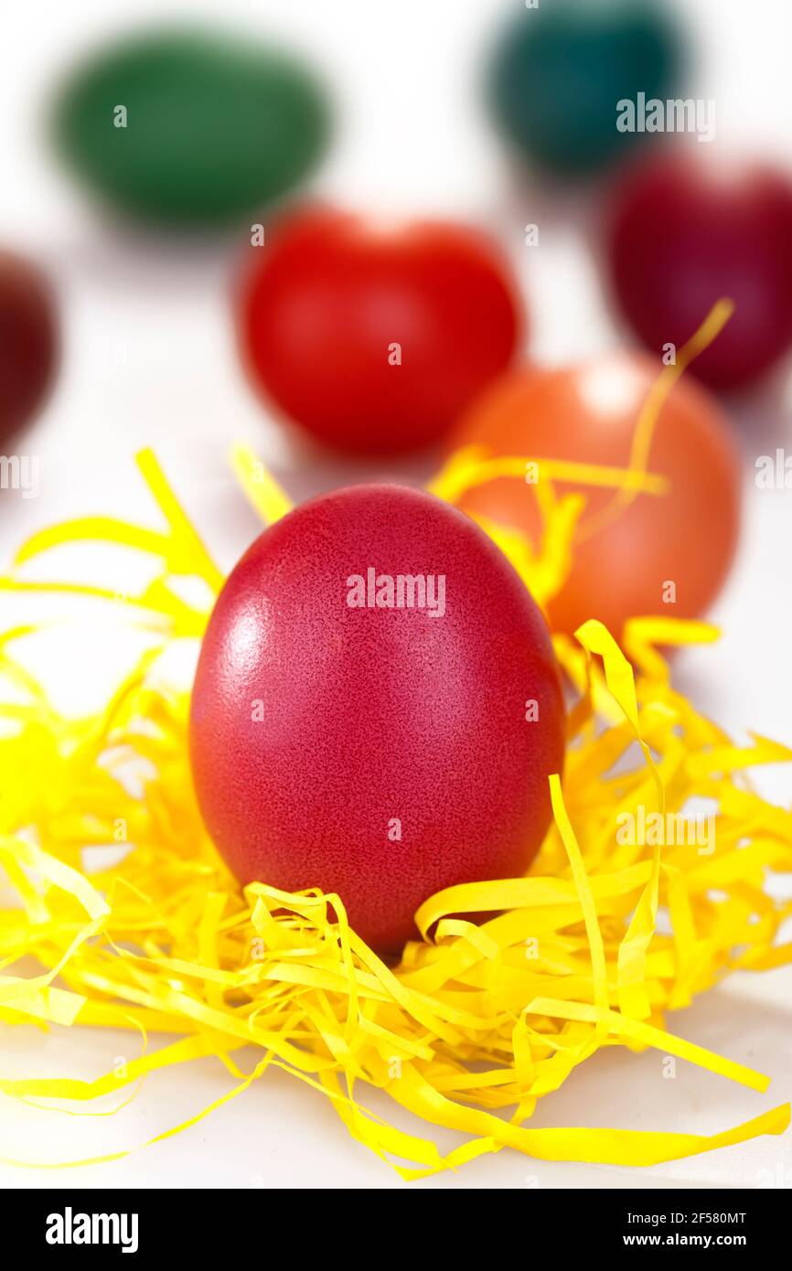 Traditional colored eggs Stock Photo