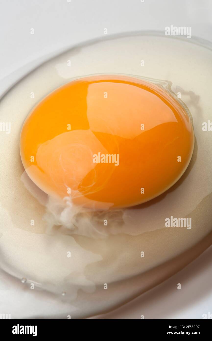 Organic egg yolk closeup Stock Photo Alamy