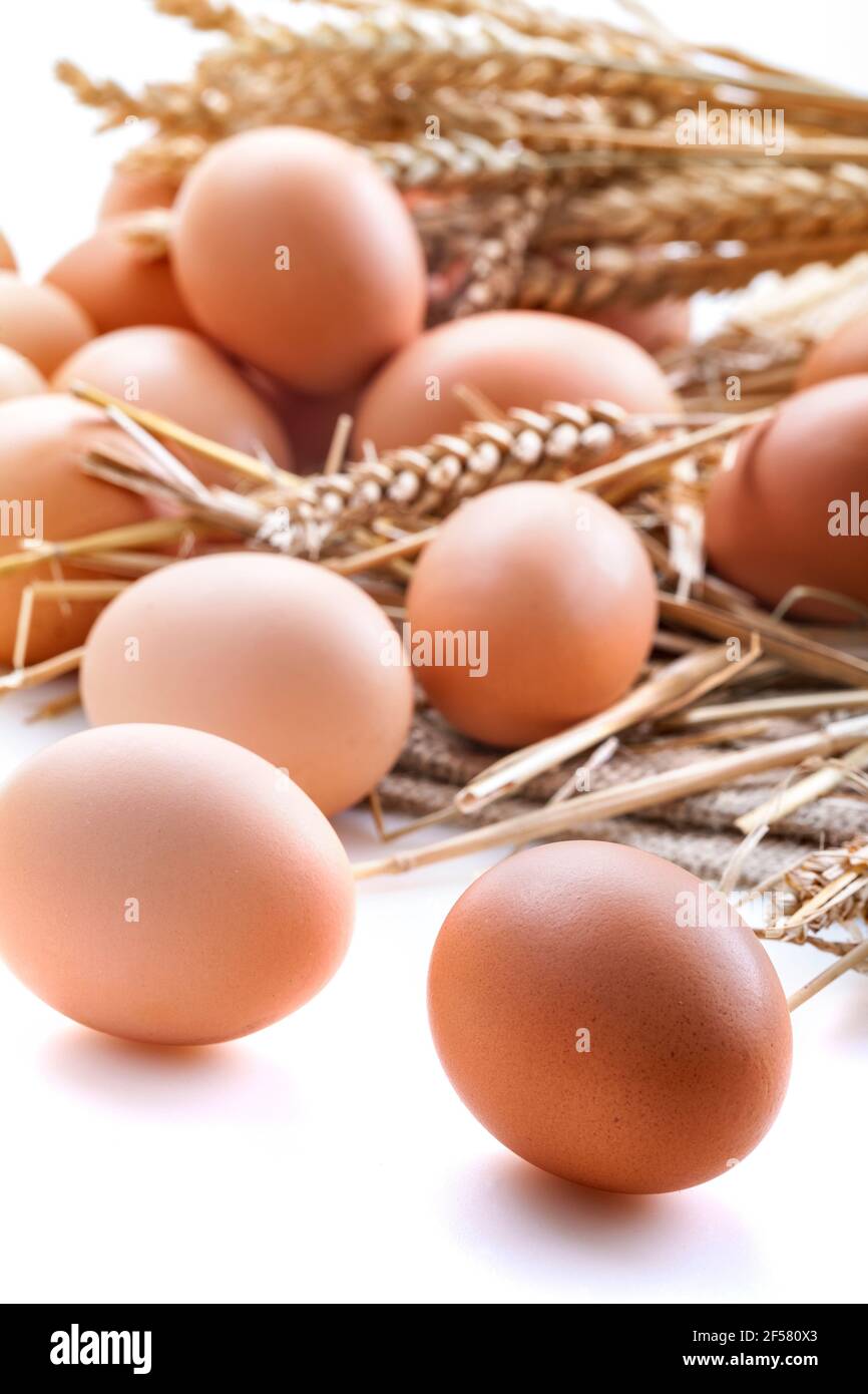 Healthy homemade eggs in hay and wheat on linen canvas, on a white background Stock Photo