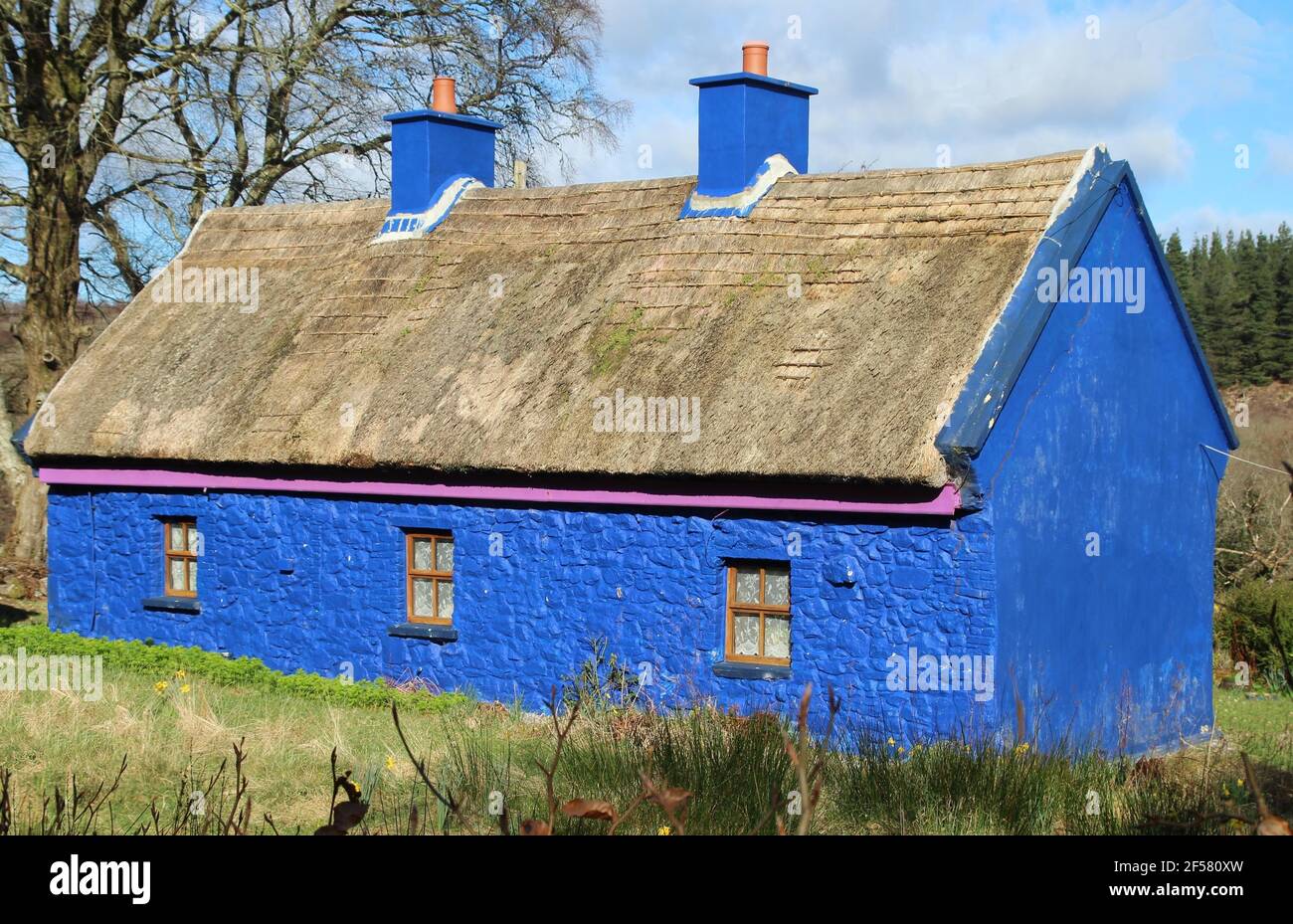 Thatched blue cottage house in rural setting in Ireland Stock Photo