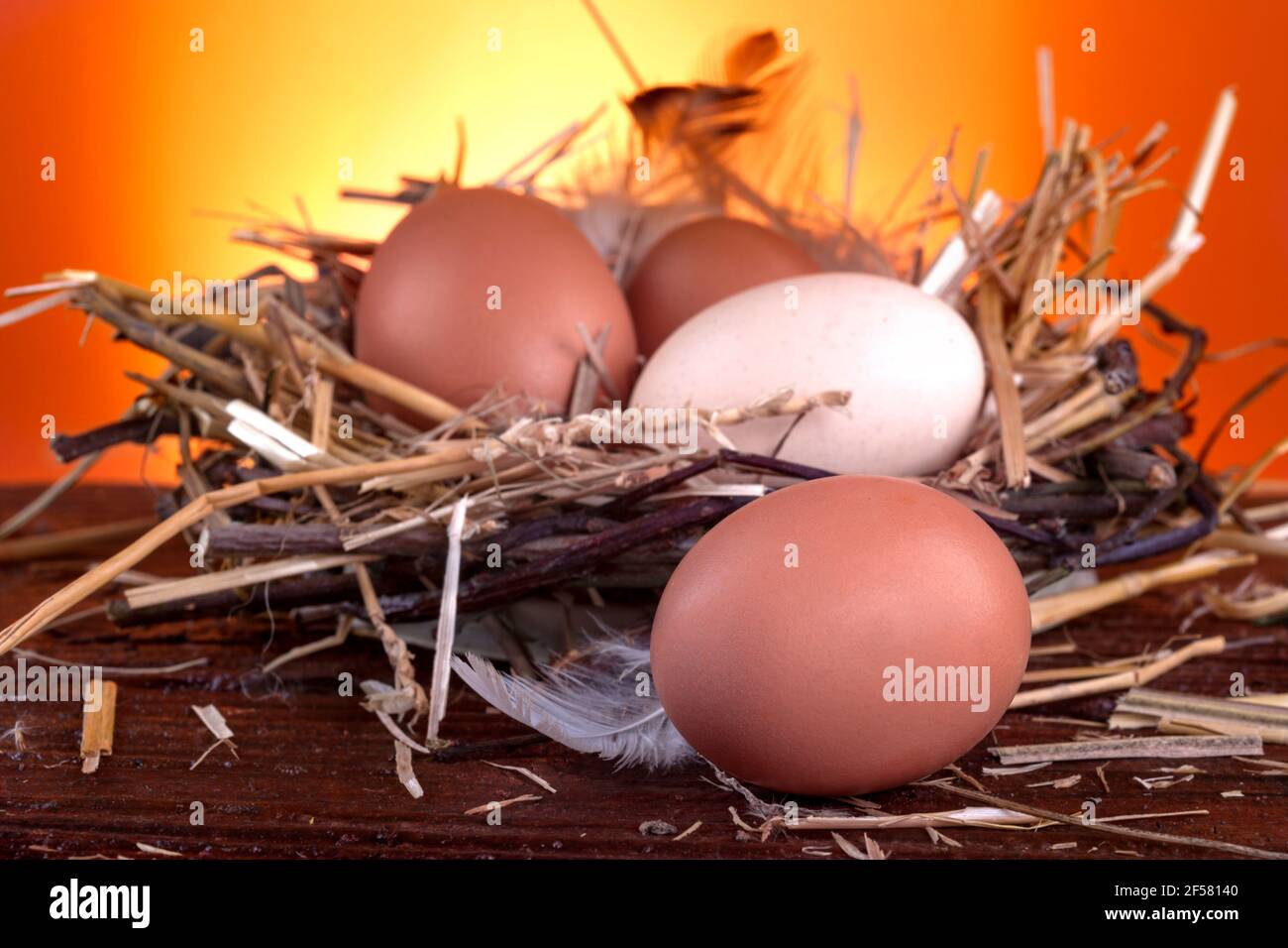 Free range eggs on a rustic wooden background Stock Photo