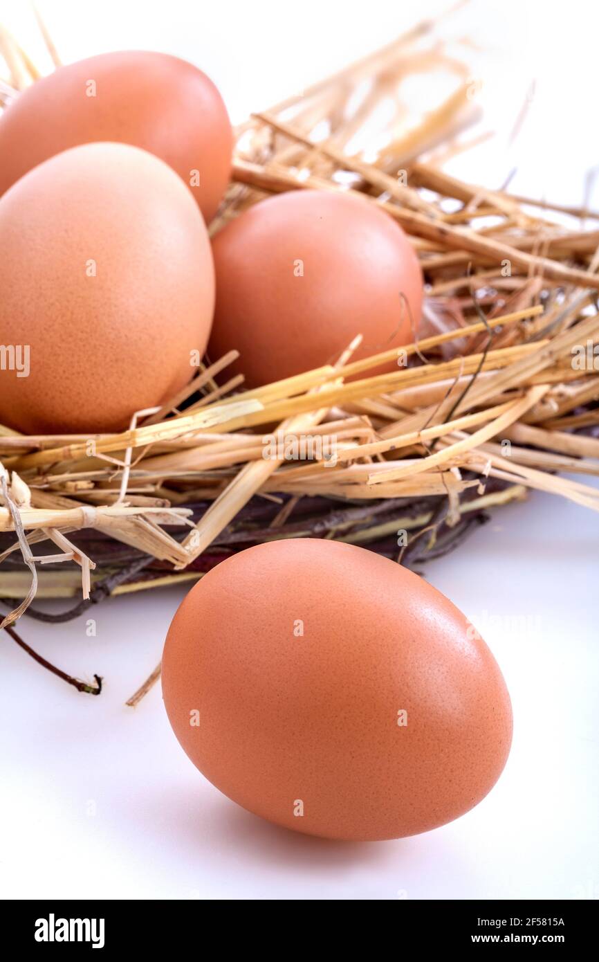 Free range eggs on a rustic wooden background Stock Photo