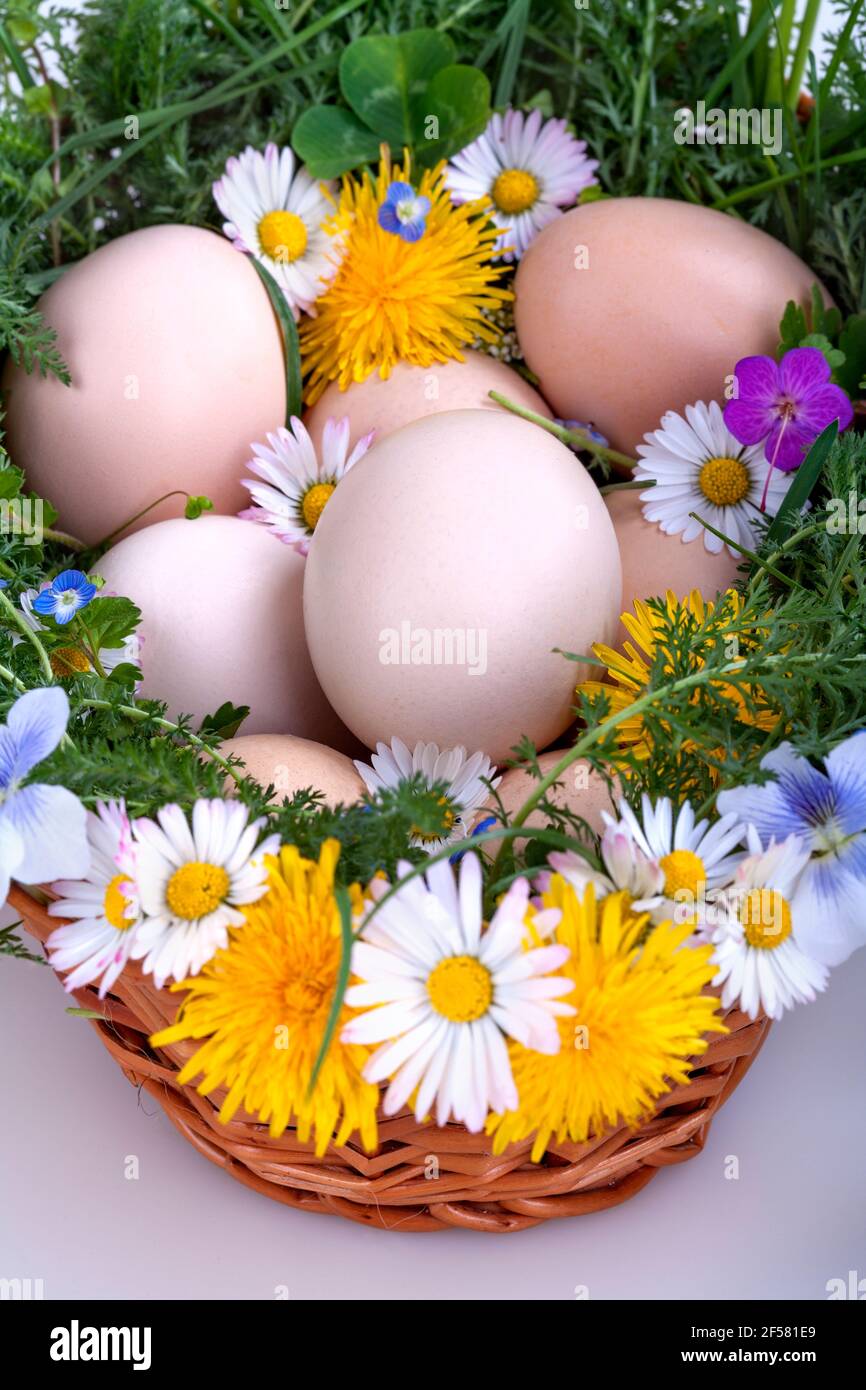 Eggs in a basket with spring plants and flowers Stock Photo