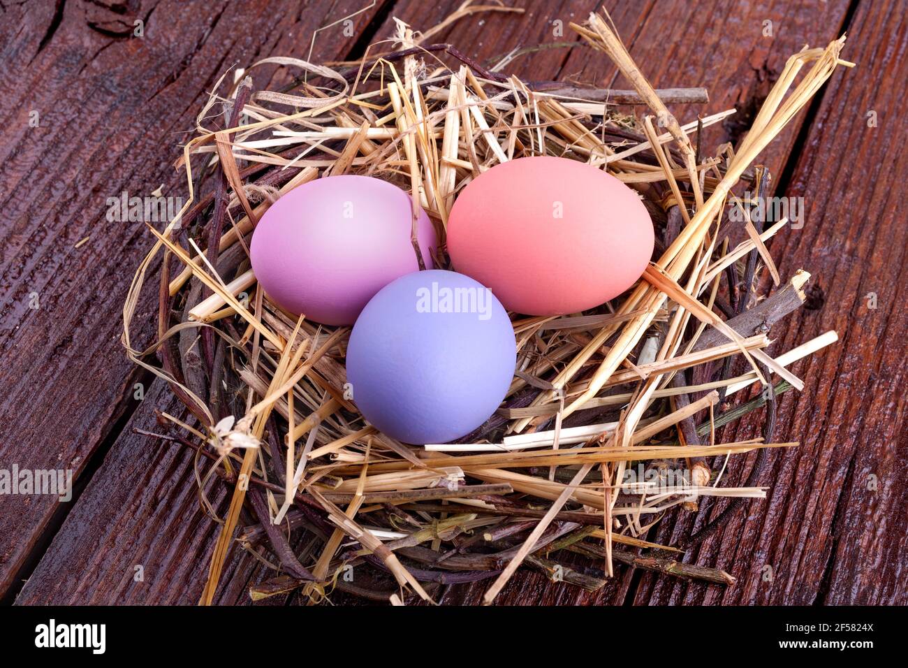 painted eggs in the nest for the celebration of Easter, retro style Stock Photo