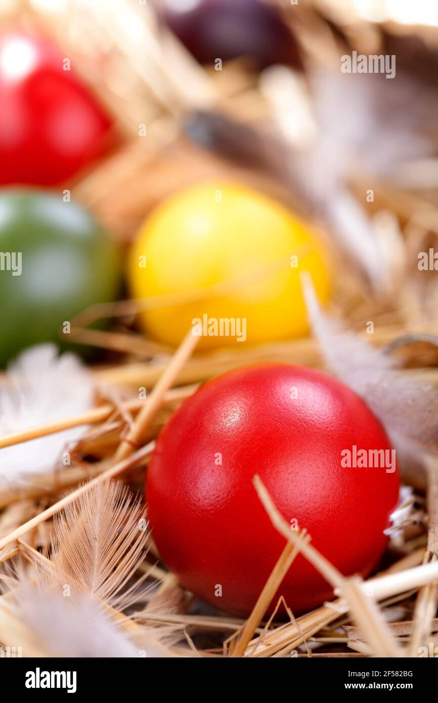Colourful traditional painted Easter eggs in the straw Stock Photo