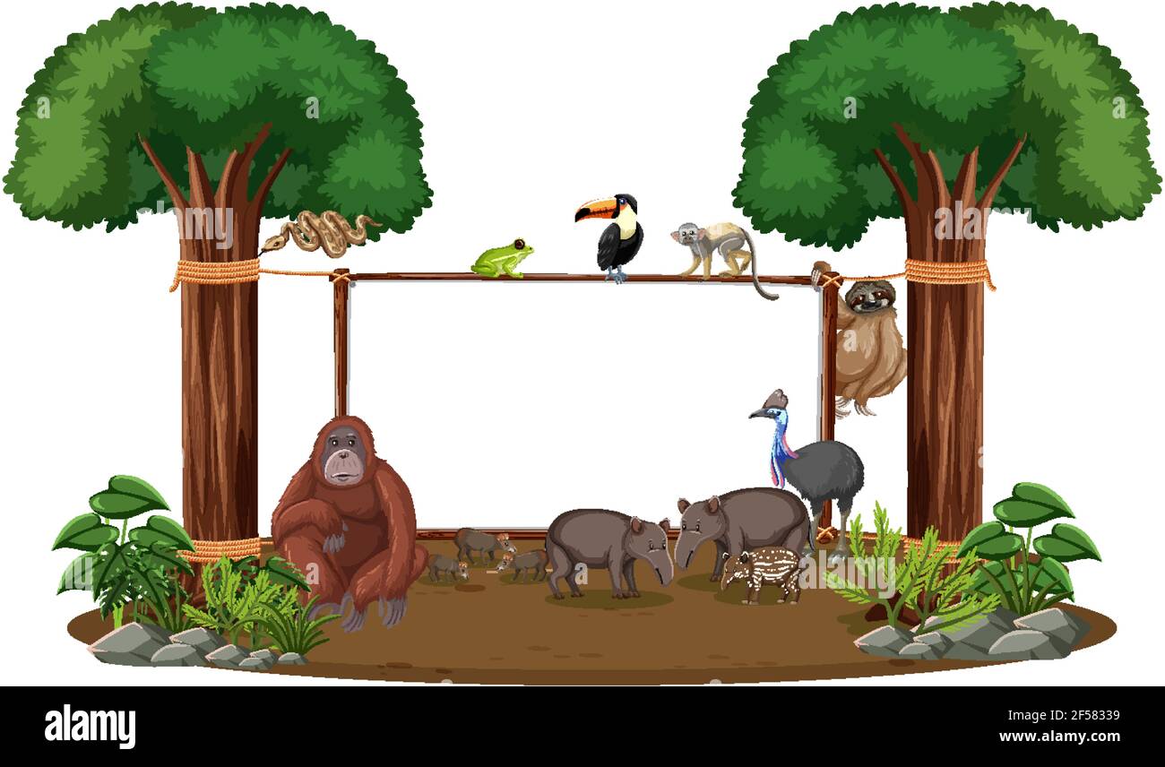Empty banner with wild animals and rainforest trees on white background ...