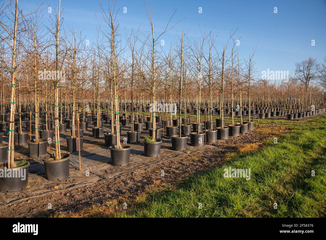 Outdoor nursery hires stock photography and images Alamy