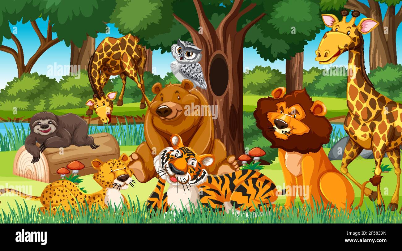 Wild animals in the jungle Stock Vector Image & Art - Alamy