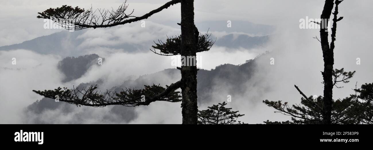 Remote village in Darjeeling provide Beautiful ridges bathed in silvery ...
