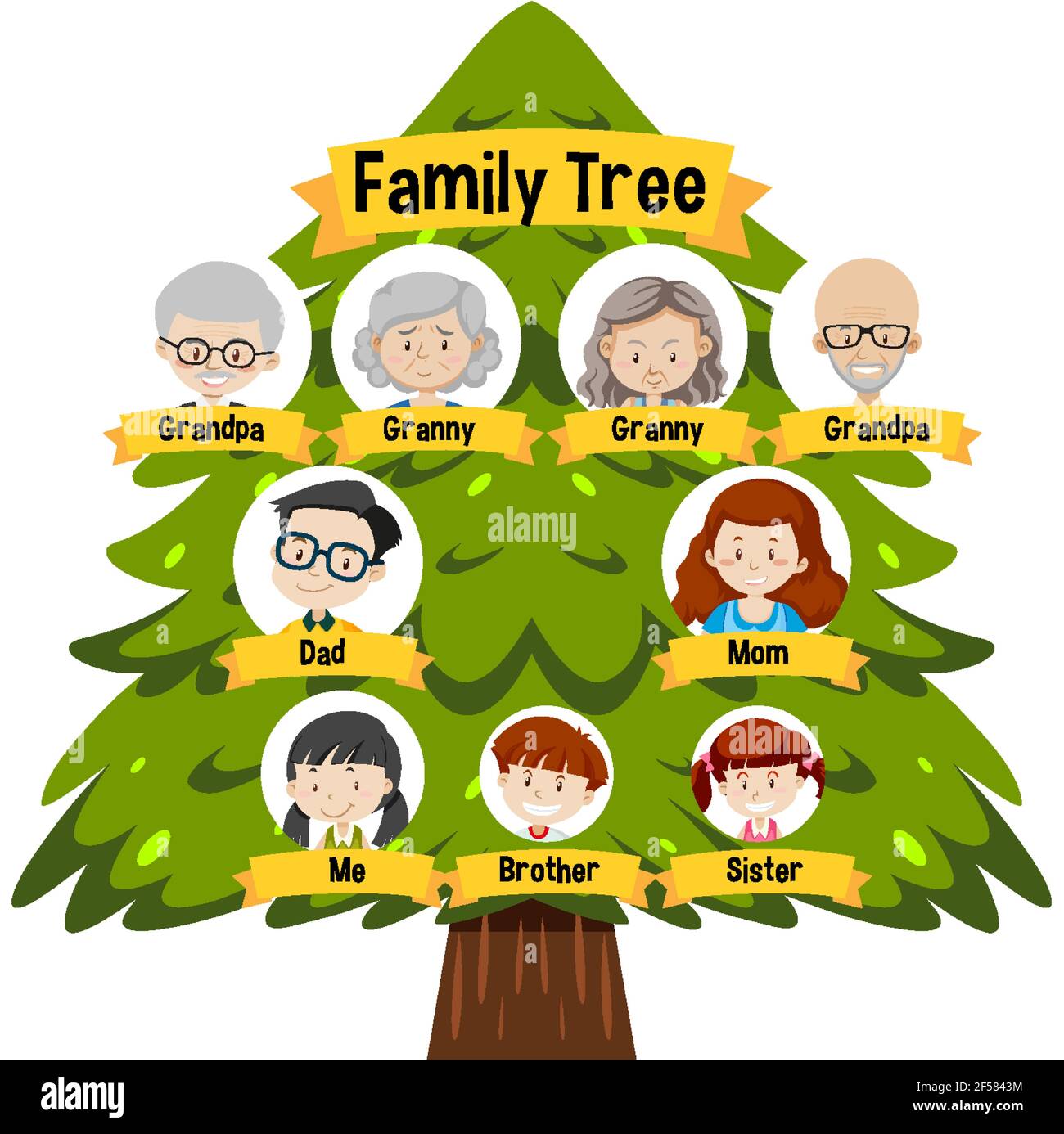 Diagram showing three generation family tree illustration Stock Vector