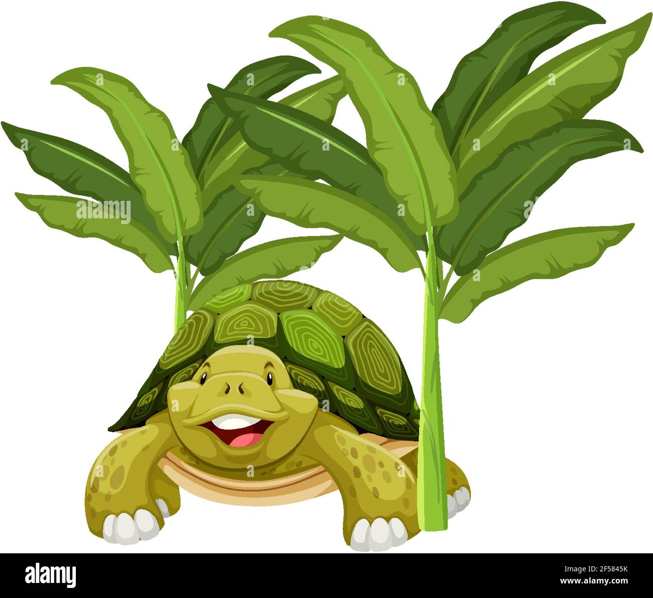 Turtle cartoon character with banana tree isolated illustration Stock  Vector Image & Art - Alamy