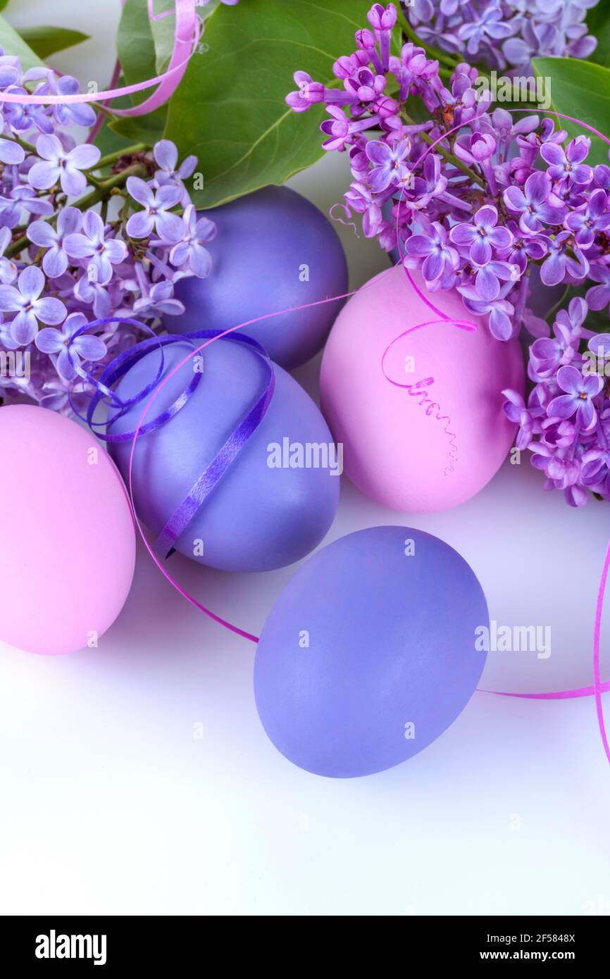 Colorfully Easter eggs with lilac flowers on a white background Stock Photo
