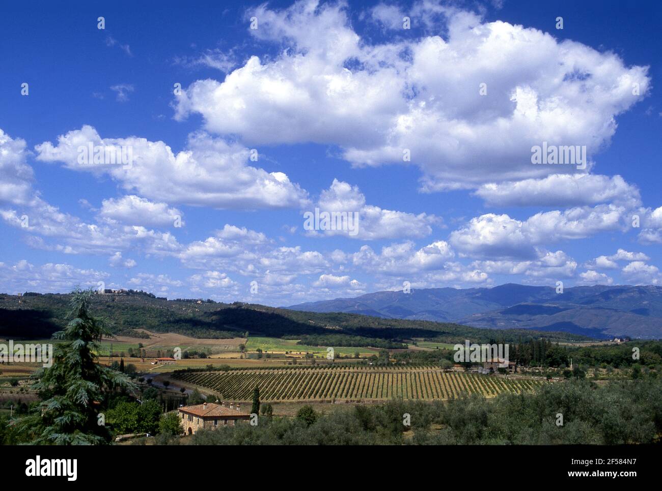 Agricultural landscape with farmhouse in the Valdarno region of Tuscany, Italy Stock Photo