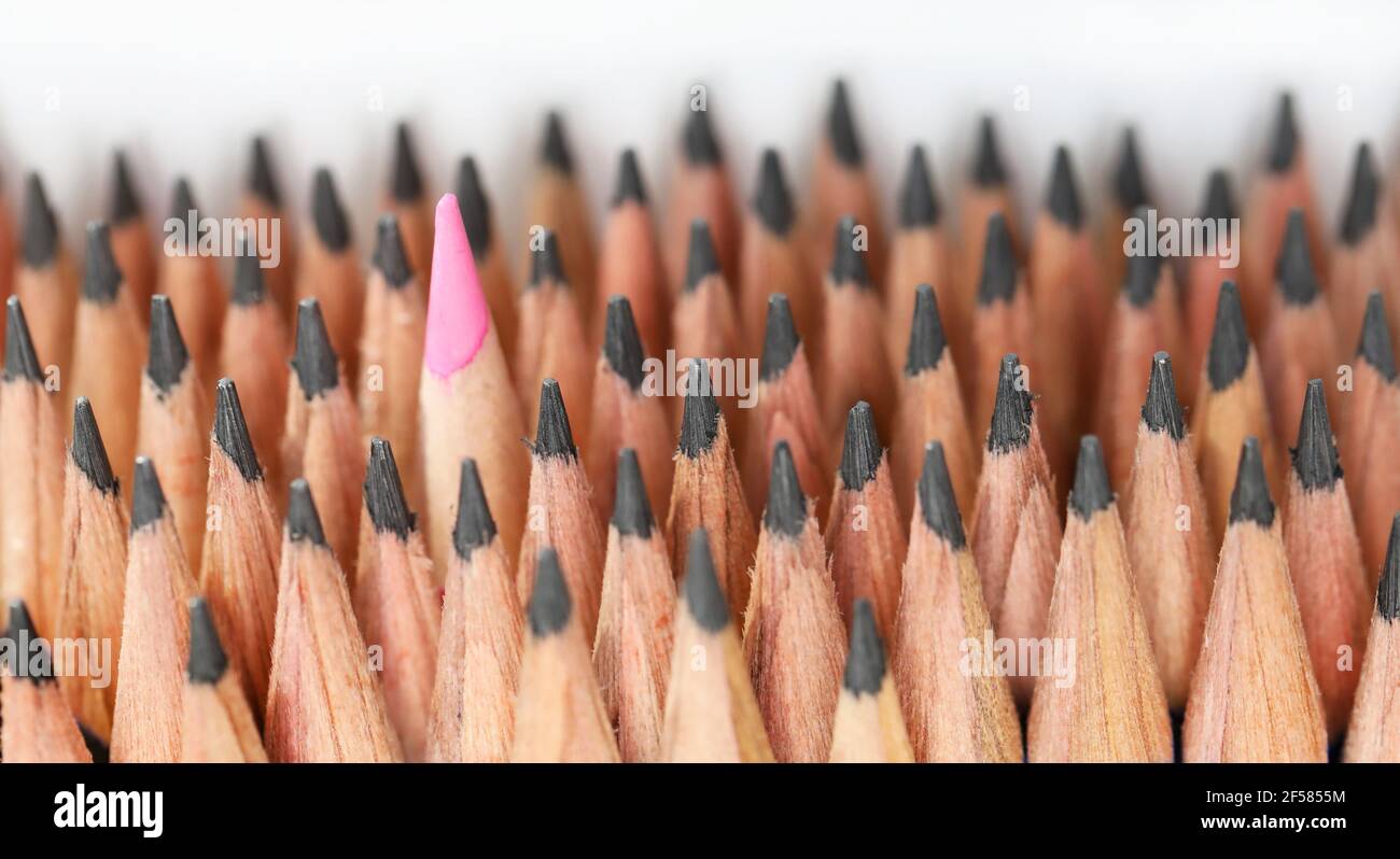 A solitary lone pink colored pencil head standing out against a large number of regular plain graphite sharp pencil leads. A standing out in the crowd Stock Photo