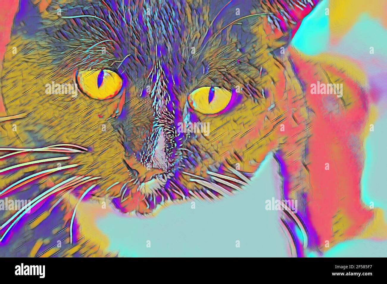 cat in psychedelic colors Stock Photo