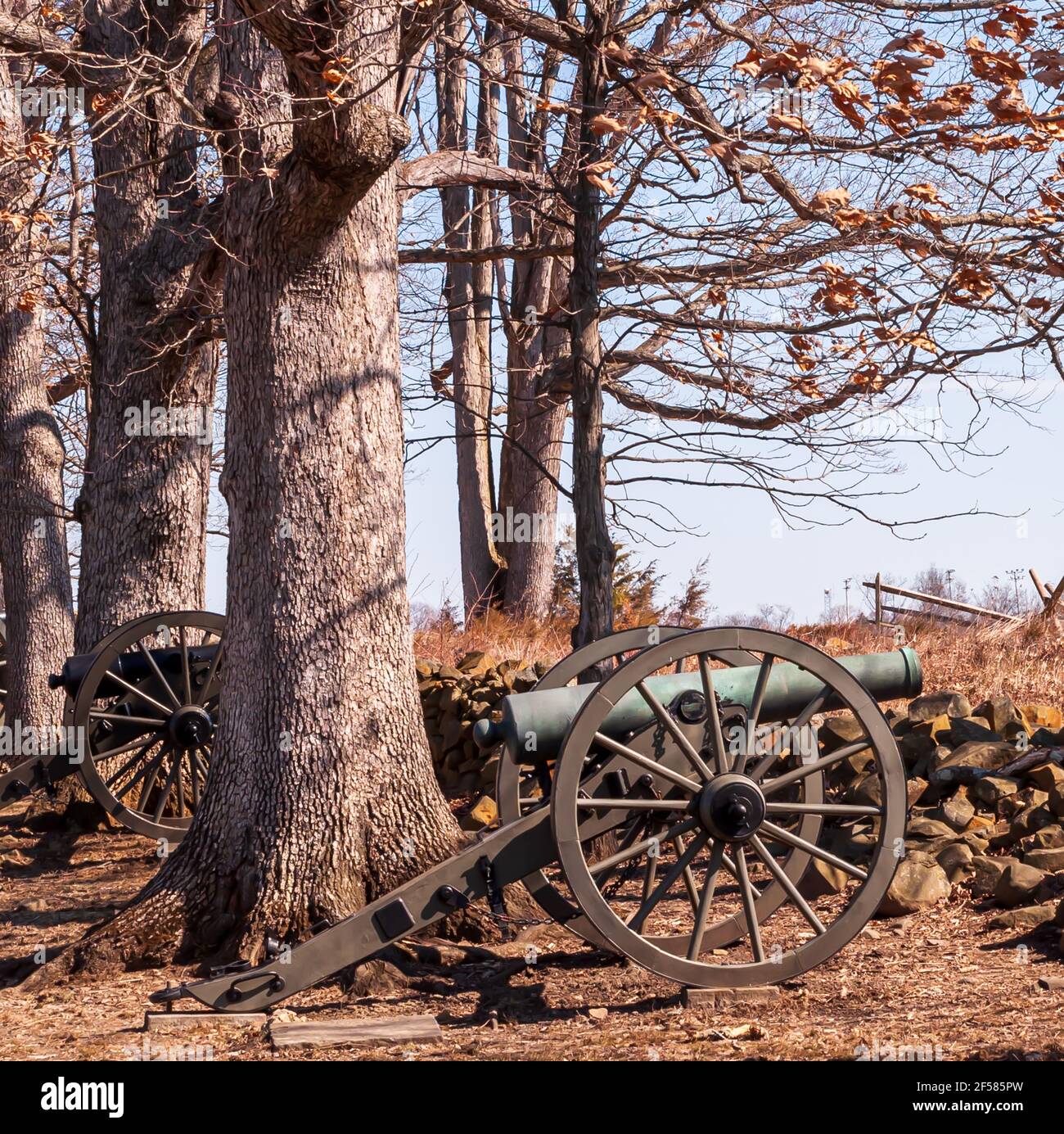 Confederate avenue hires stock photography and images Alamy