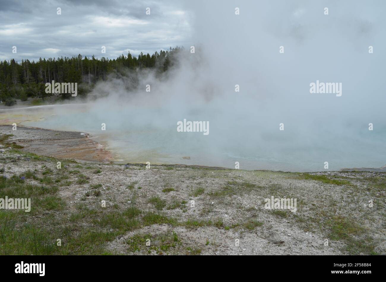 Late Spring in Yellowstone National Park: Steam from Grand Prismatic Spring Obscures Midway Bluff in the Excelsior Group of Midway Geyser Basin Stock Photo