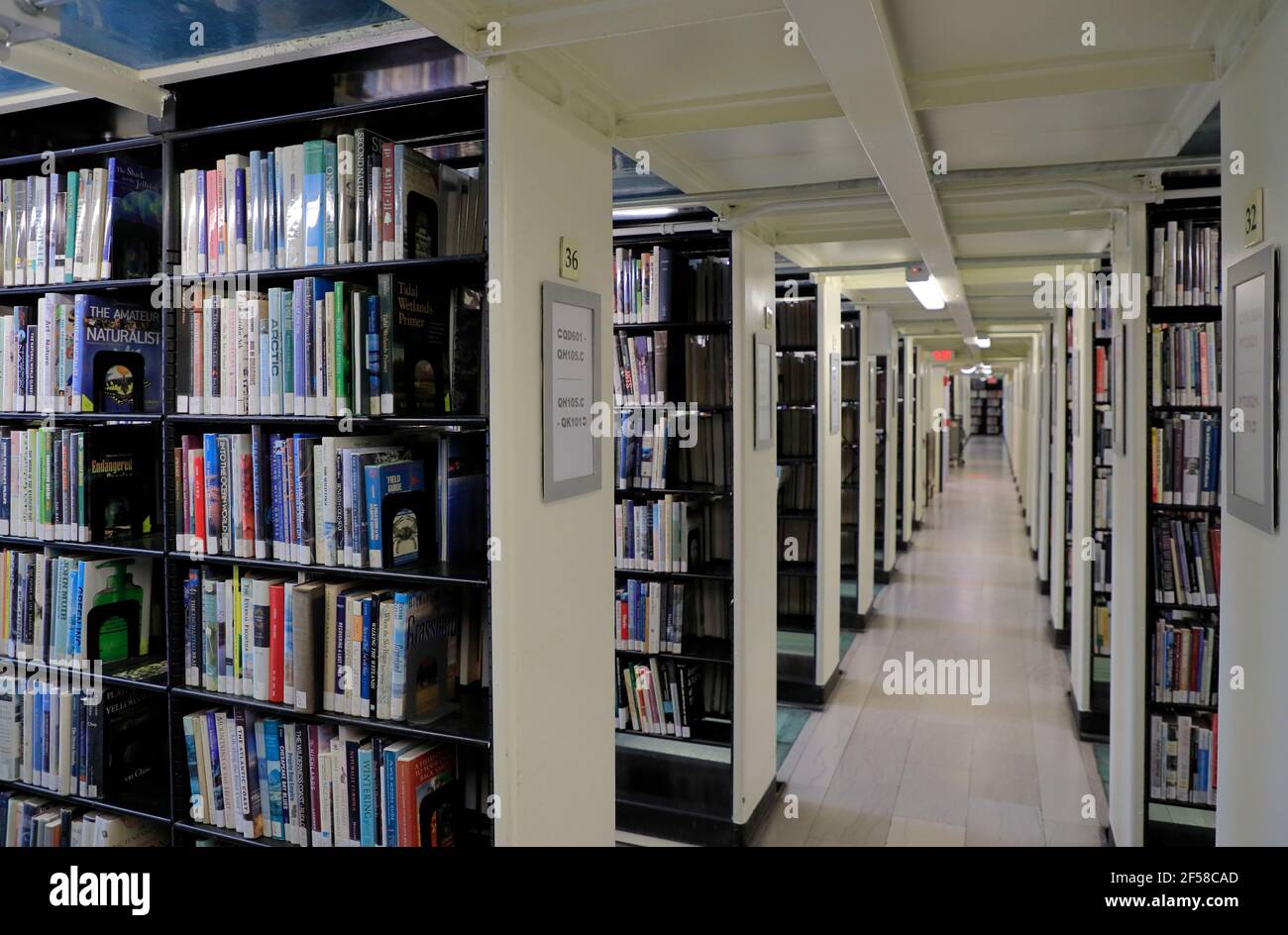 Books on the shelves at the main branch of the Carnegie Library of