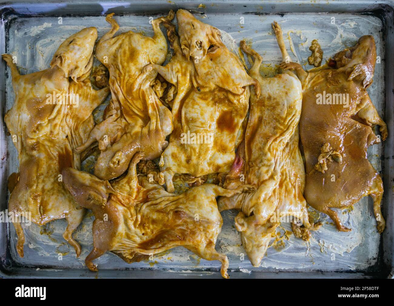 View of Guinea pig chef hi-res stock photography and images - Alamy