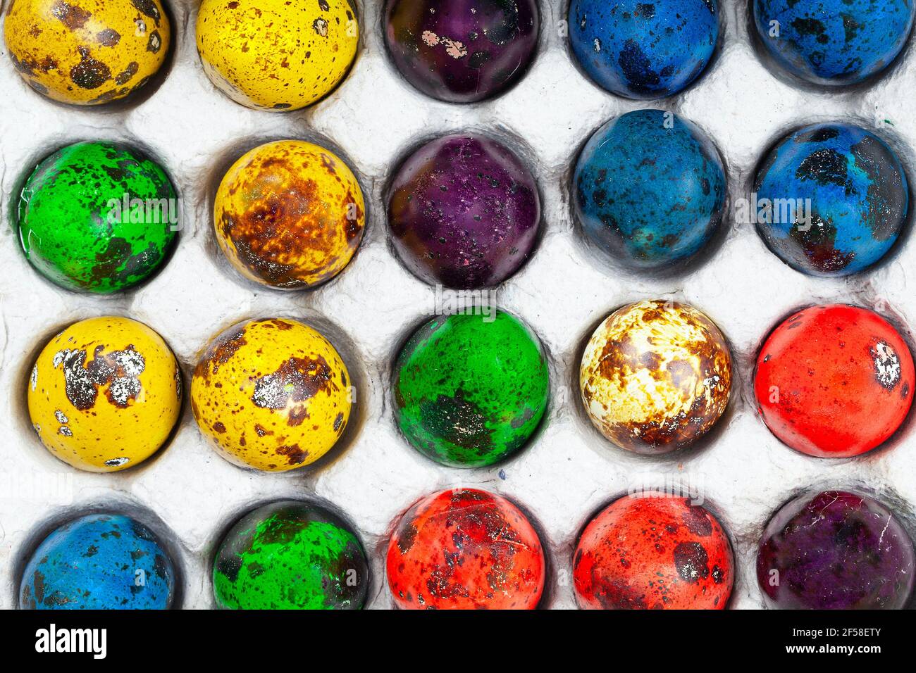 colorful easter quail eggs in box . top view flat lay . Minimal holiday concept. Stock Photo