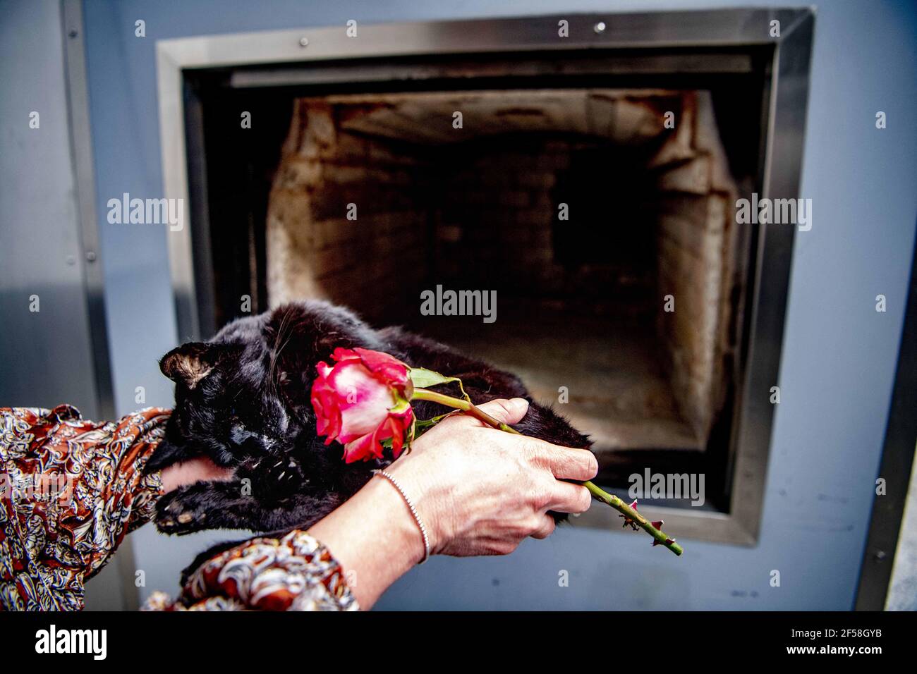 A Pet Crematorium where mainly dogs and cats are cremated. Funeral home