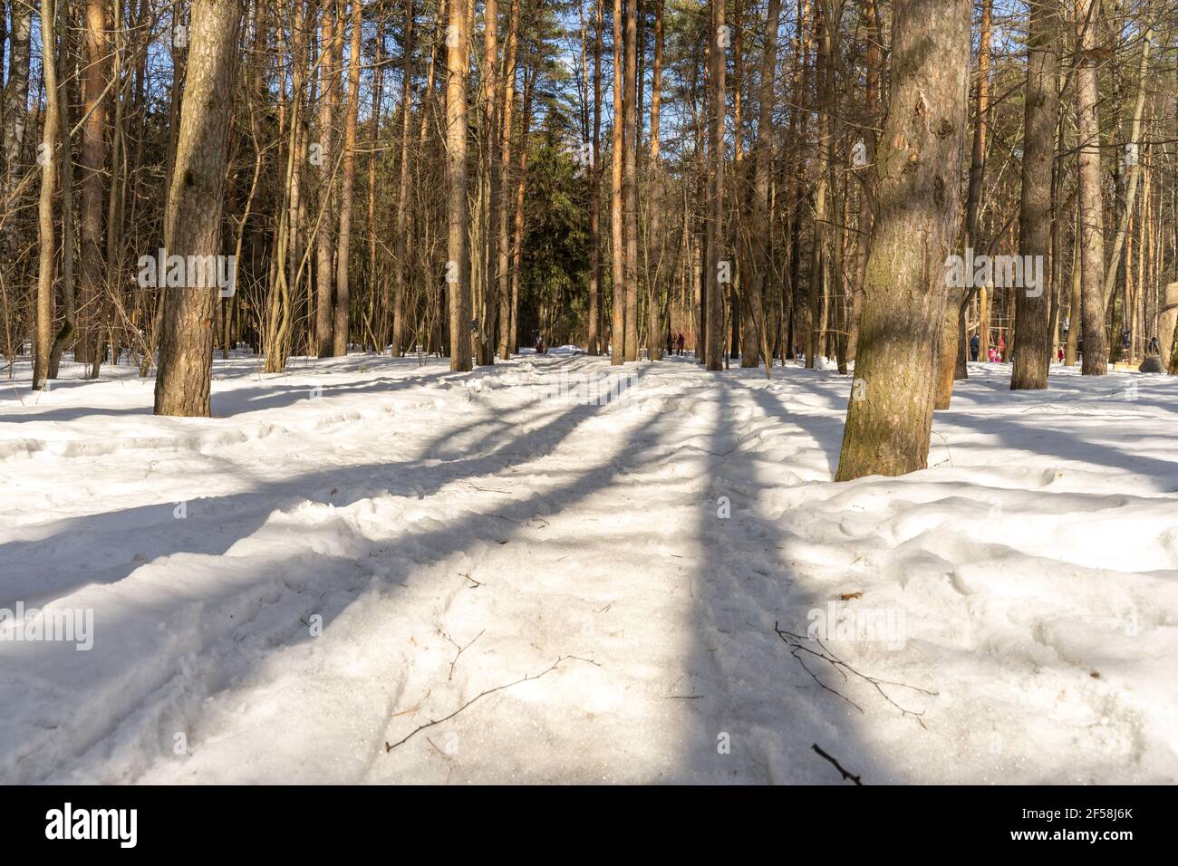 Beautiful sunny polar day hi-res stock photography and images - Alamy