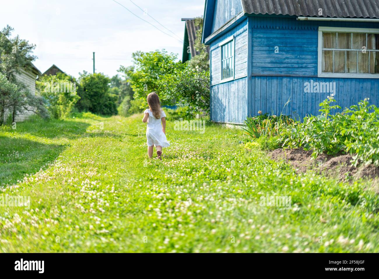 little girl in a white dress walks along a path in the countryside ...