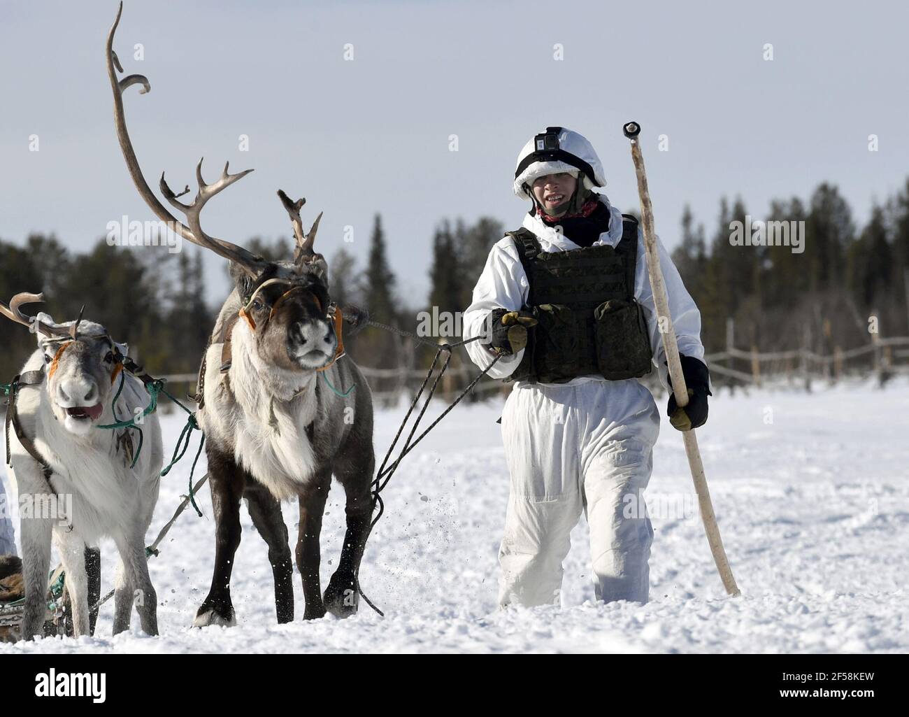 Murmansk Region Russia 24th Mar 21 A Reconnaissance Officer Of A Marine Corps Of The Russian Northern Fleet Takes Part In A Drill In The Village Of Lovozero Marines Hold A Field Murmansk Region Russia 24th Mar 21 A Reconnaissance Officer Of A Marine Corps Of The Russian Northern Fleet Takes Part In A Drill In The Village Of Lovozero Marines Hold A Field