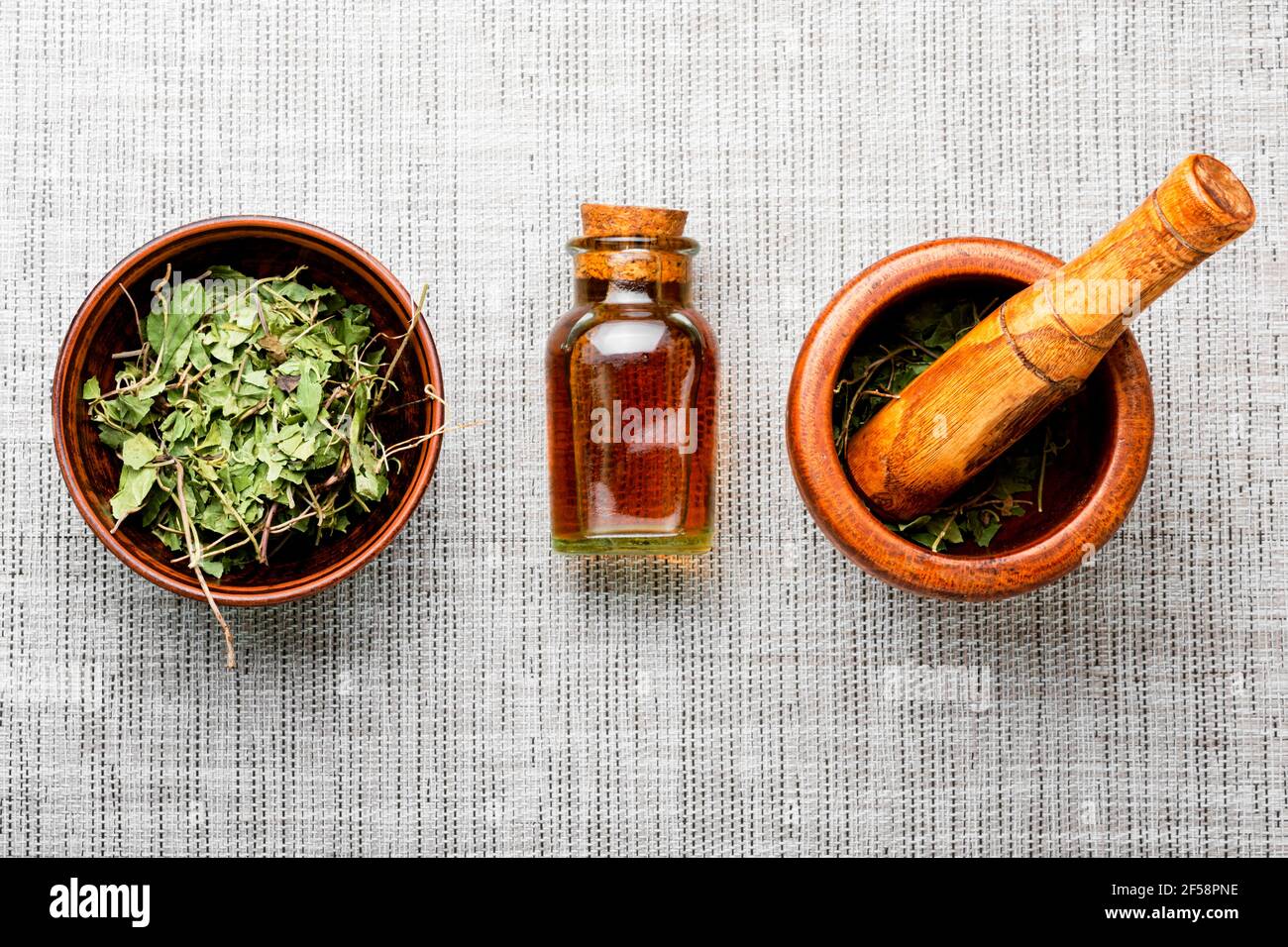 Medicinal,herbal tincture from orthilia secunda.Herbal medicine.Healing herbs Stock Photo