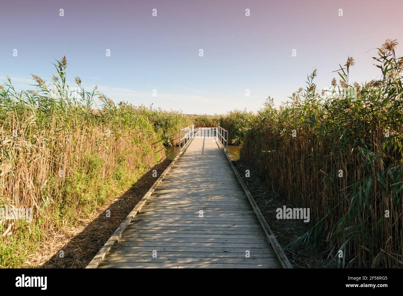 Richard W. DeKorte Park Meadowlands Environment Center in Meadowlands