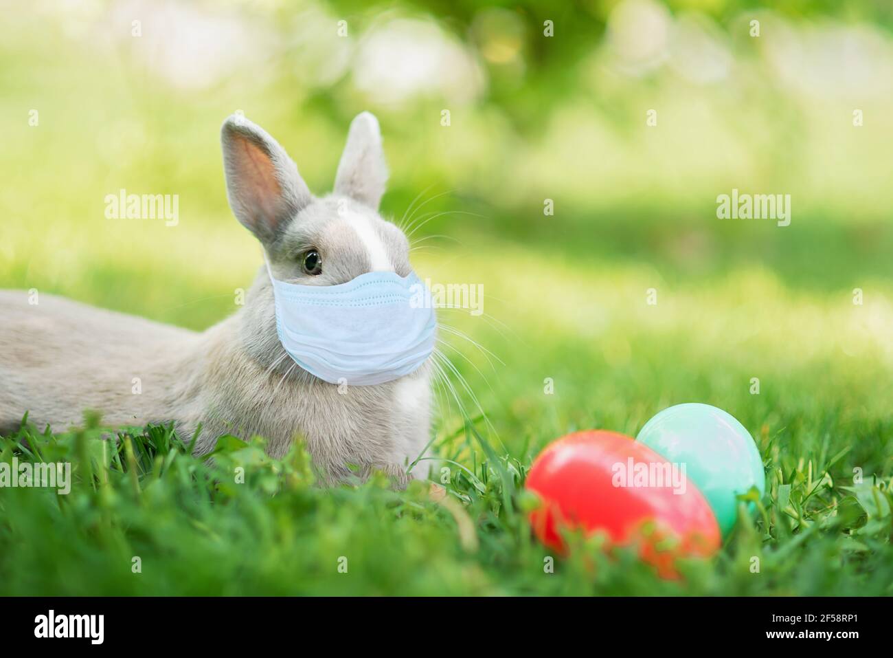 Easter bunny in medicine mask and eggs on spring green grass. Cute ...