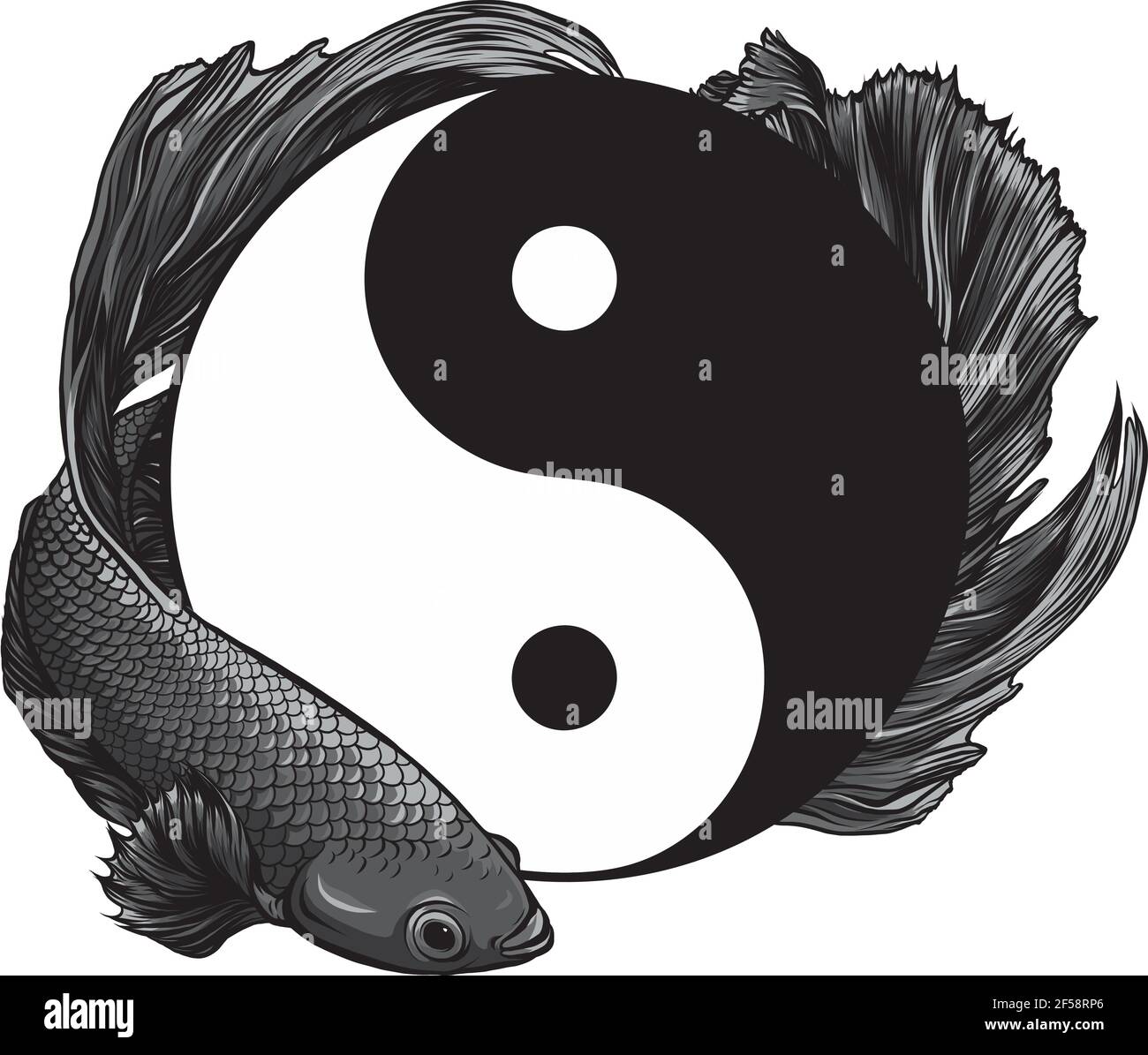 design of Yin Yang betta splendens fish vector illustration art Stock Vector